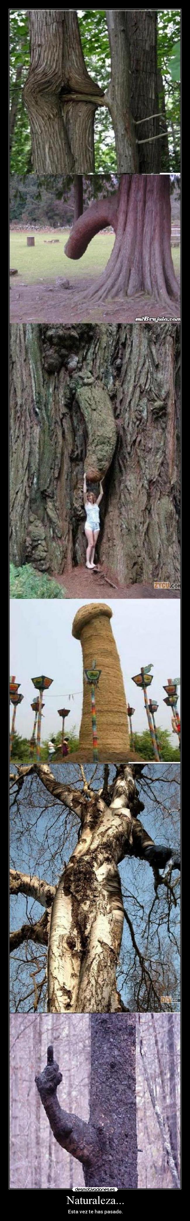 Naturaleza... - Esta vez te has pasado.