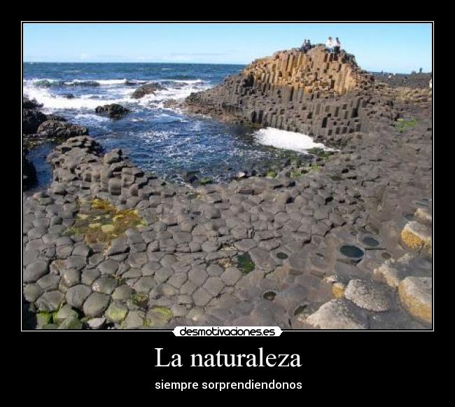 La naturaleza - 