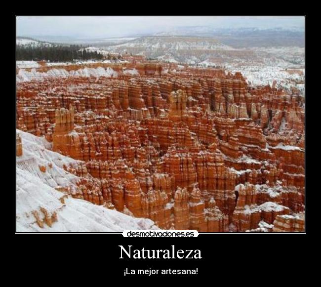 Naturaleza -