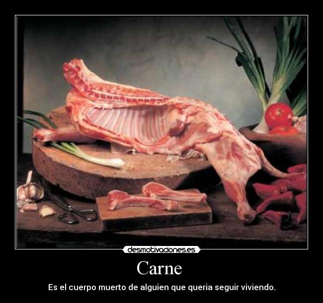 Carne  - Es el cuerpo muerto de alguien que queria seguir viviendo.