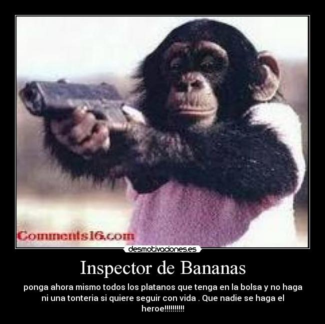 Inspector de Bananas - ponga ahora mismo todos los platanos que tenga en la bolsa y no haga
ni una tonteria si quiere seguir con vida . Que nadie se haga el
heroe!!!!!!!!!!