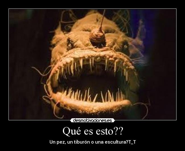 Qué es esto?? - 