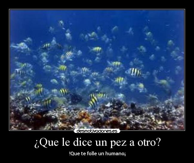 carteles ola desmotivaciones