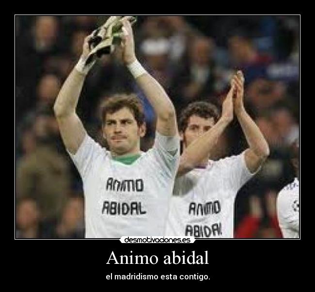 Animo abidal - 