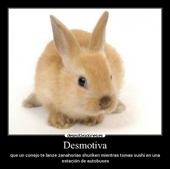 Desmotiva - que un conejo te lanze zanahorias shuriken mientras tomas sushi en una
estación de autobuses