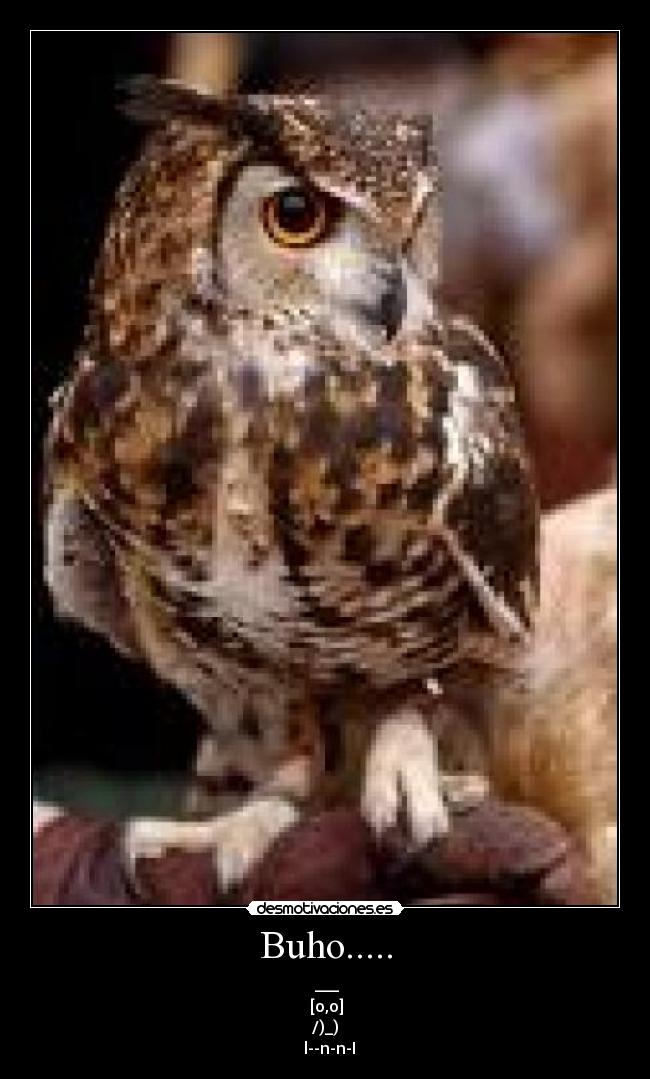 Buho..... -      ___    
   [o,o]  
   /)_)   
  l--n-n-I