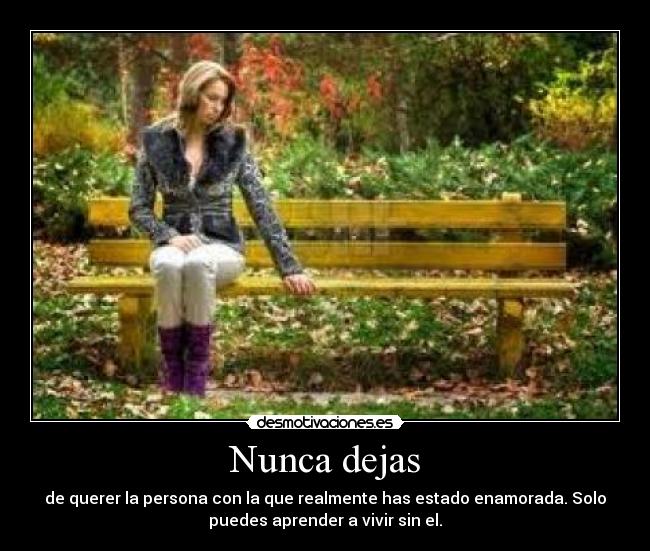 Nunca dejas - 
