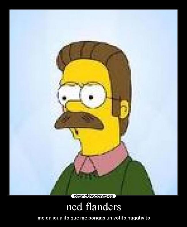 ned flanders -