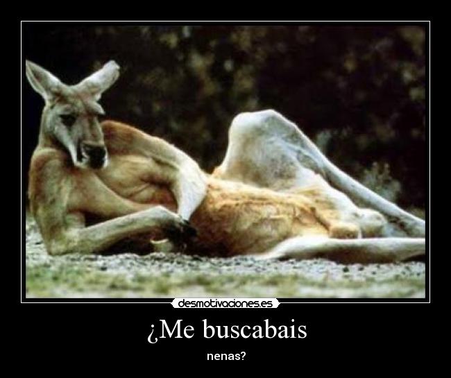 ¿Me buscabais - 