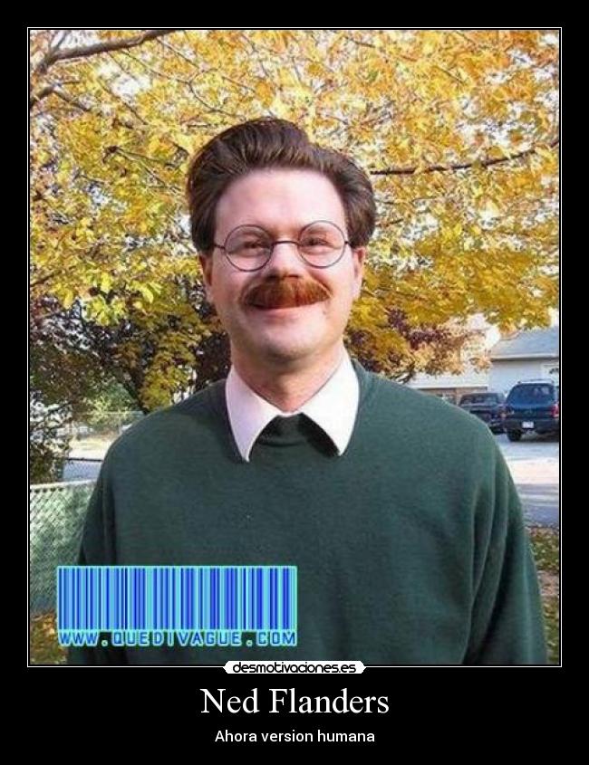 Ned Flanders -