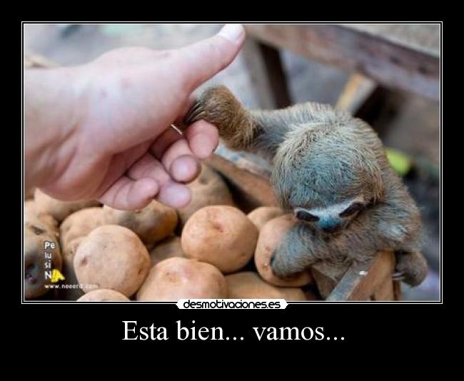 Esta bien... vamos... - 