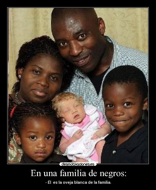 En una familia de negros: - - Él es la oveja blanca de la familia.
