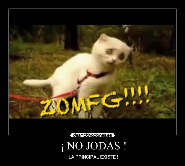 ¡ NO JODAS ! - ¡ LA PRINCIPAL EXISTE !