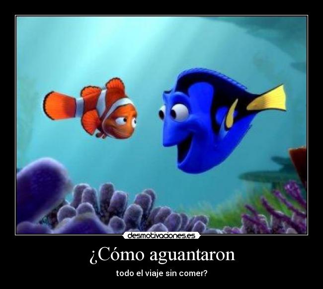 ¿Cómo aguantaron - todo el viaje sin comer?