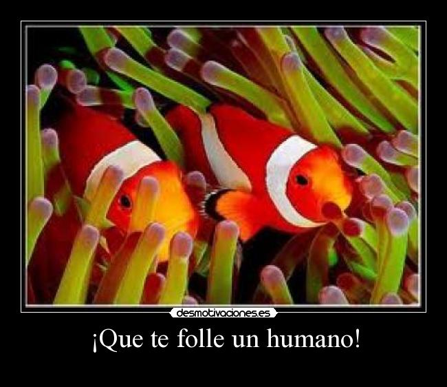 ¡Que te folle un humano! -