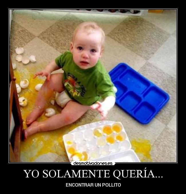 YO SOLAMENTE QUERÍA... - ENCONTRAR UN POLLITO