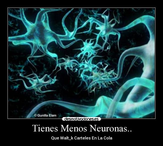 Tienes Menos Neuronas.. - Que Walt_k Carteles En La Cola