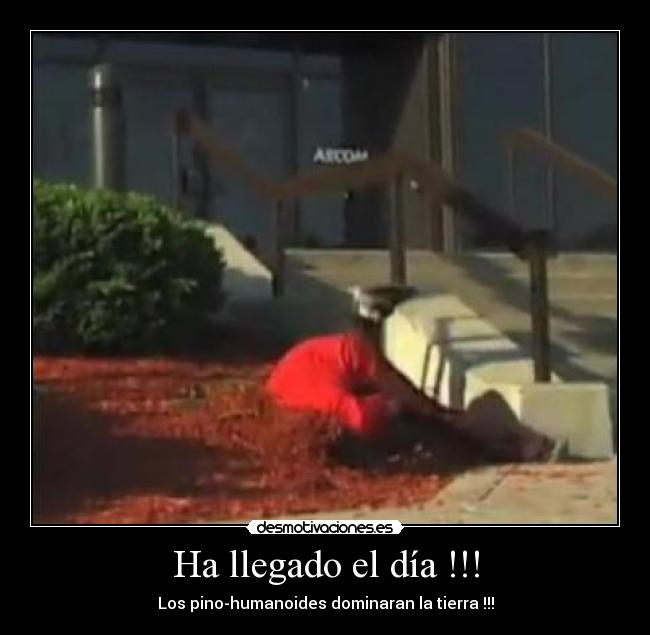 Ha llegado el día !!! -