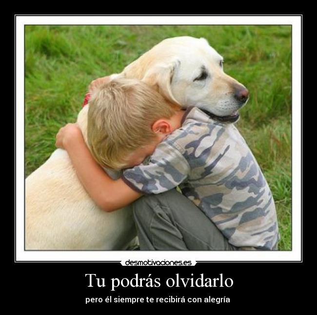 Tu podrás olvidarlo - pero él siempre te recibirá con alegría 