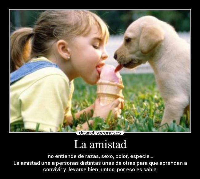 La amistad - no entiende de razas, sexo, color, especie...
La amistad une a personas distintas unas de otras para que aprendan a
convivir y llevarse bien juntos, por eso es sabia.