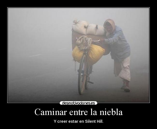 Caminar entre la niebla -