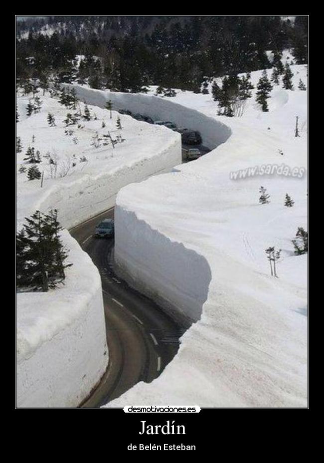 Jardín - de Belén Esteban 