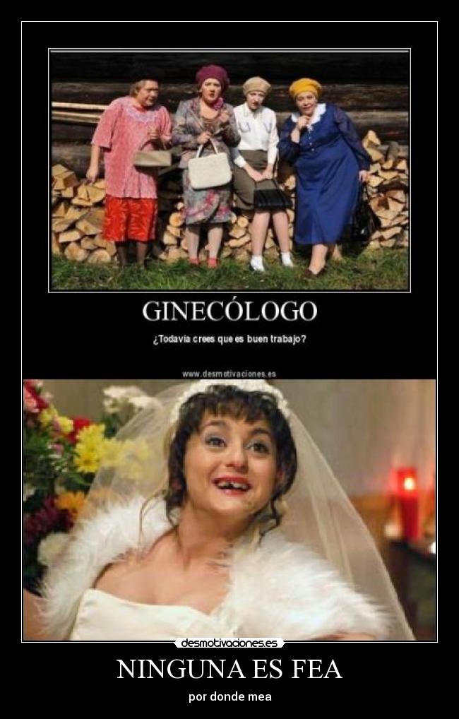 NINGUNA ES FEA - 