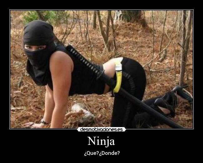 Ninja - ¿Que?¿Donde?