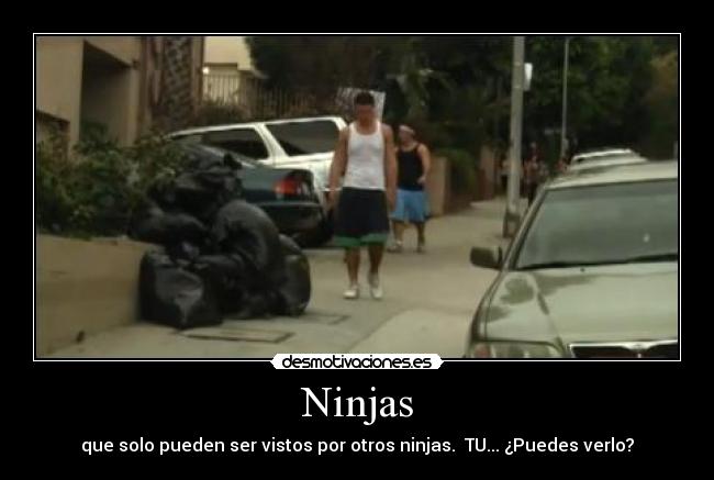 Ninjas - 