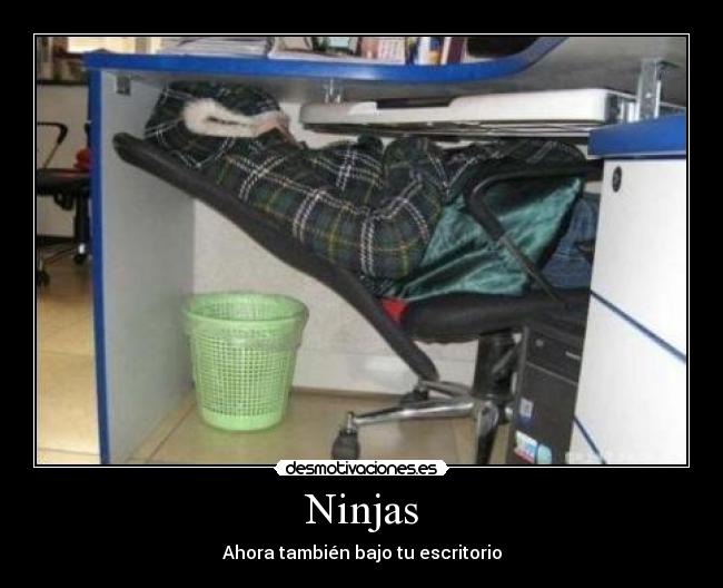 Ninjas - Ahora también bajo tu escritorio