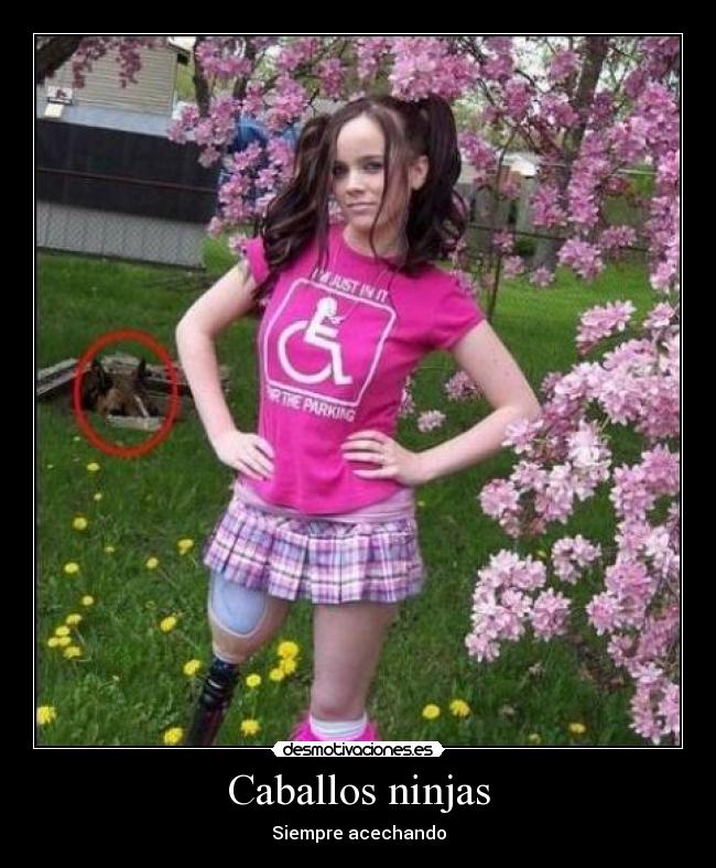 Caballos ninjas - Siempre acechando