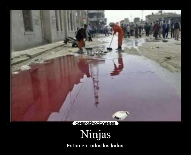 Ninjas - Estan en todos los lados!