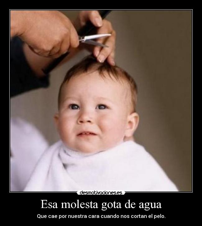 Esa molesta gota de agua - Que cae por nuestra cara cuando nos cortan el pelo.