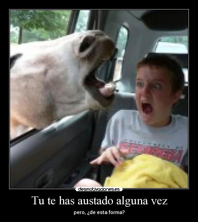 Tu te has austado alguna vez -