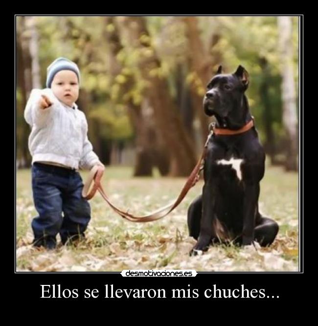 Ellos se llevaron mis chuches... - 