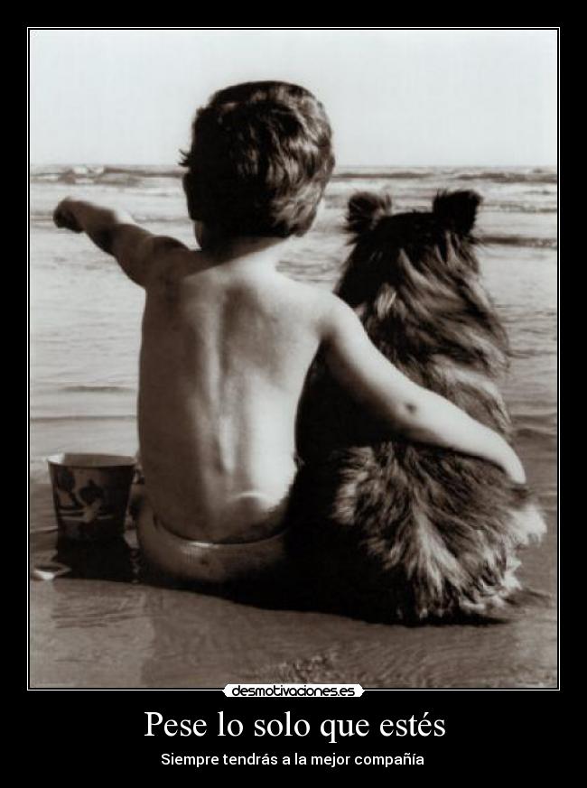 Pese lo solo que estés - 