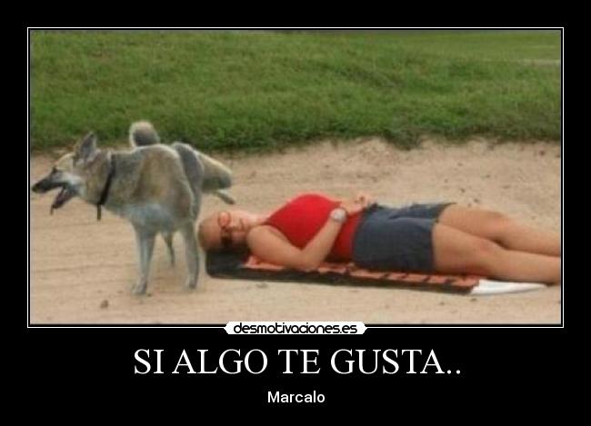 SI ALGO TE GUSTA.. - Marcalo