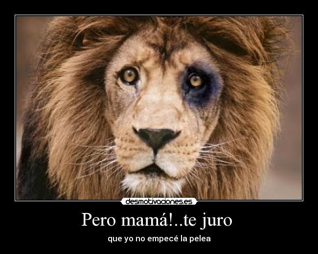 Pero mamá!..te juro  - que yo no empecé la pelea