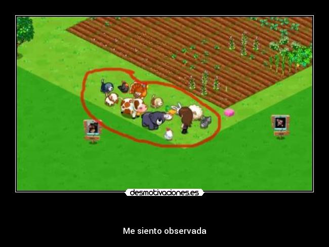 - Me siento observada