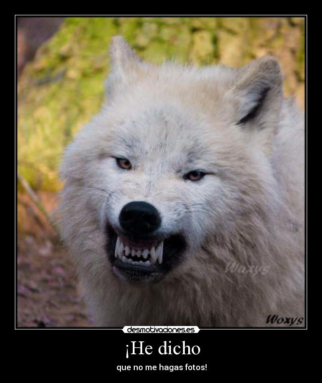 ¡He dicho - que no me hagas fotos!