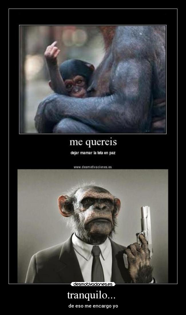 tranquilo... - de eso me encargo yo