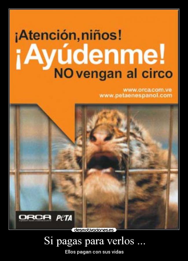 Si pagas para verlos ... - Ellos pagan con sus vidas