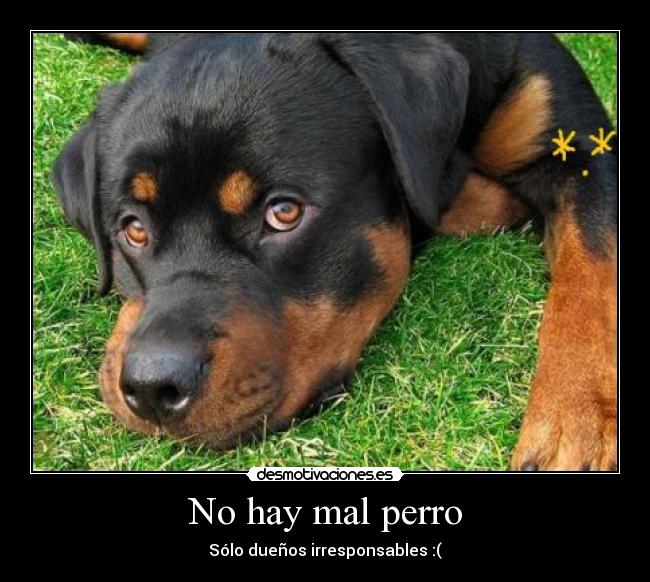 No hay mal perro - 