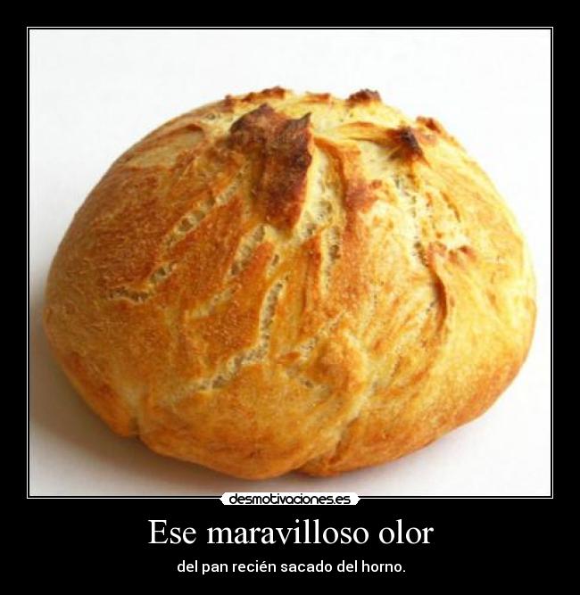 carteles pan horno olor maravilla maravilloso recien sacar sacado recien desmotivaciones