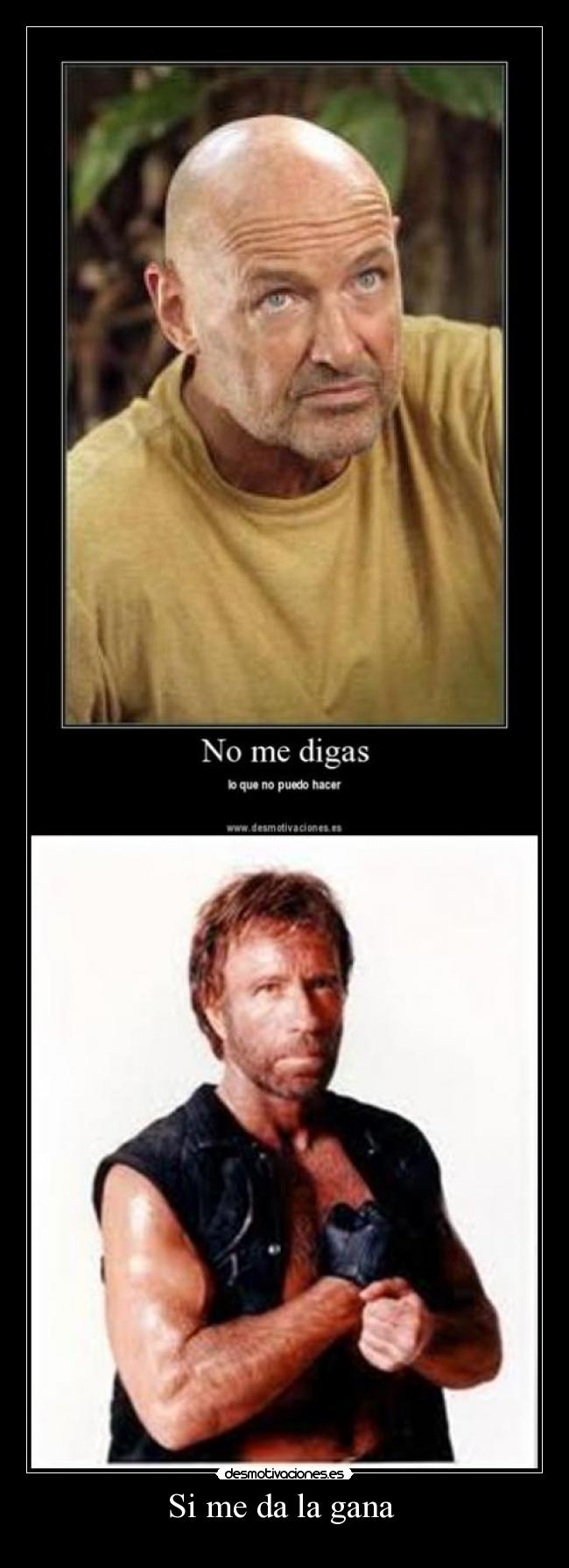 carteles chuck desmotivaciones