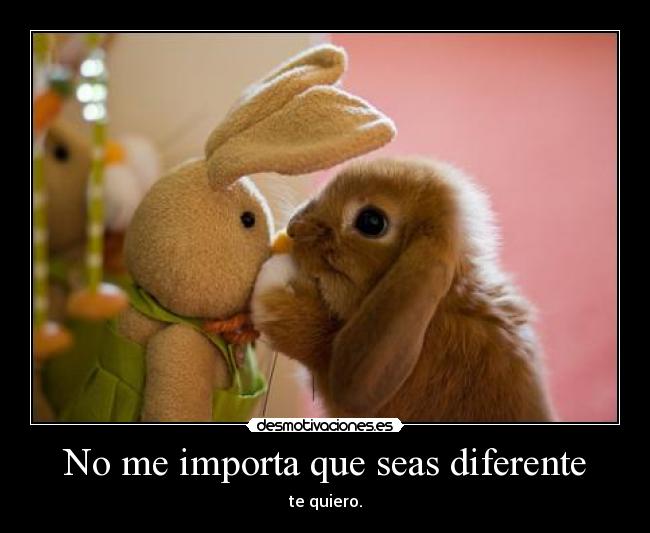 No me importa que seas diferente - 