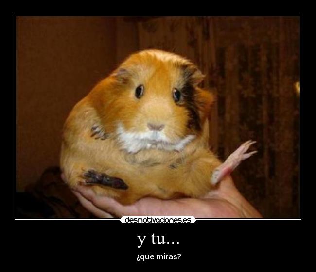 y tu... -