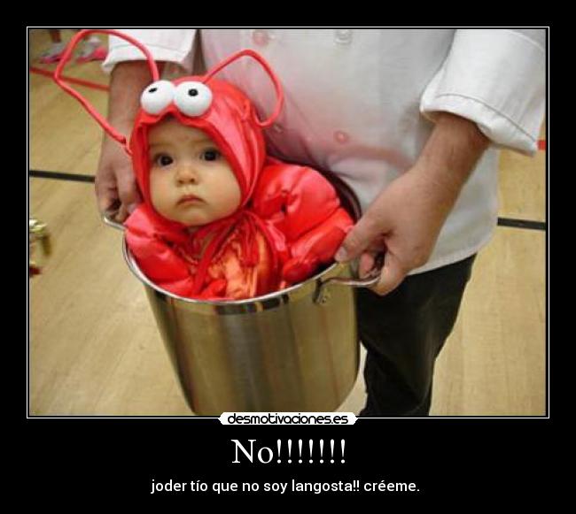 carteles langosnino desmotivaciones