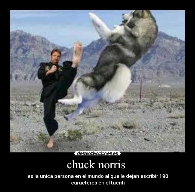 chuck norris -