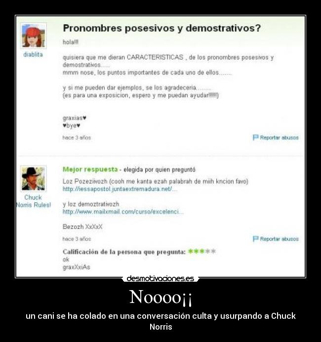 Noooo¡¡ - un cani se ha colado en una conversación culta y usurpando a Chuck Norris